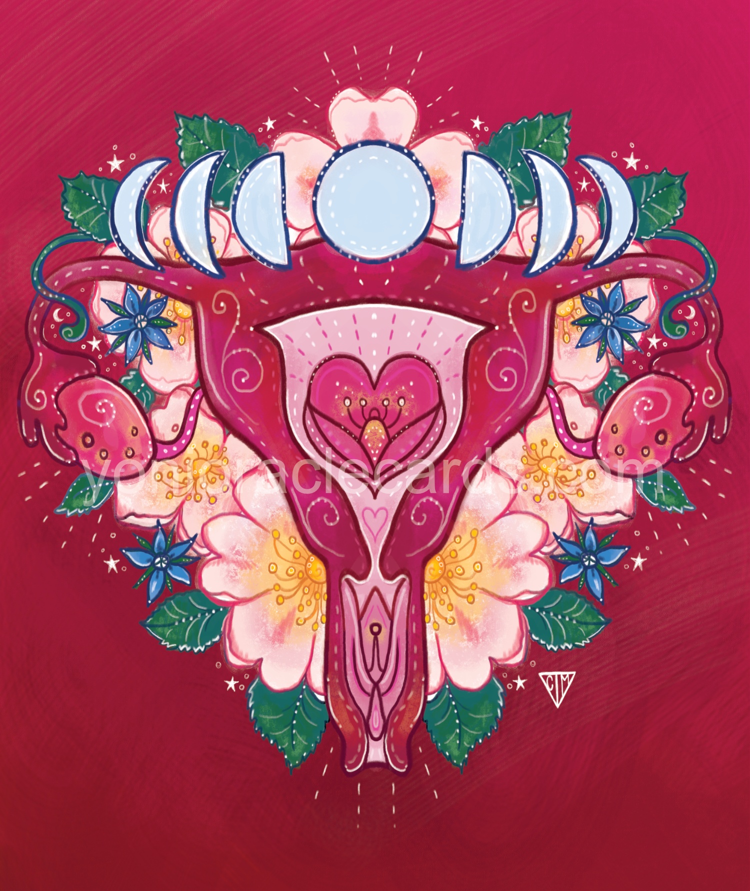 Illustration client case study – art for the Yoni Oracle’s Womb Awakening Workshops